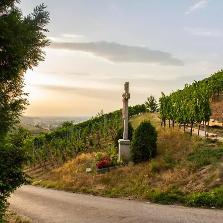 アパート Paradieshof