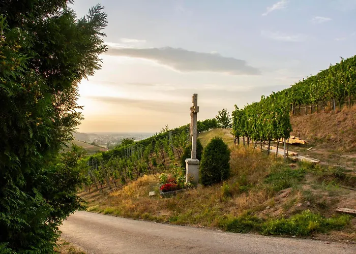 Apartmán Paradieshof