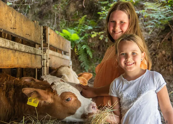 アパート Paradieshof Lautenbach